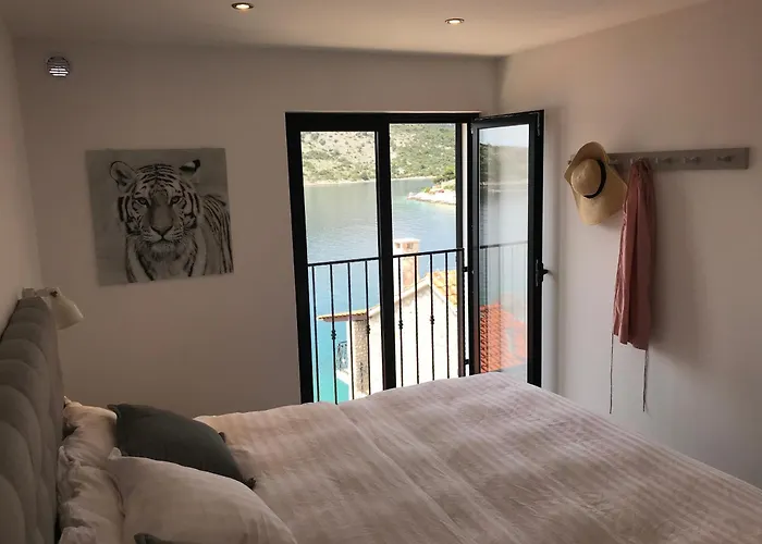 White House * Vinisce